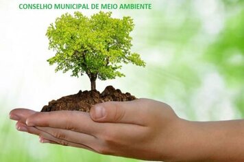 Conselho Municipal de Meio Ambiente intensifica fiscalização de podas e cortes irregulares de árvores