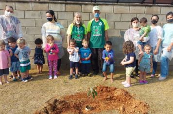 Alunos da Rede Municipal de Ensino plantam mudas de árvores nas escolas
