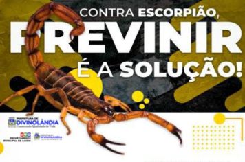 PREFEITURA MUNICIPAL FAZ ALERTA SOBRE CUIDADOS COM ESCORPIÕES