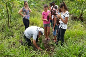 Crianças do Projeto Espaço Amigo plantam árvores na Nascente Modelo