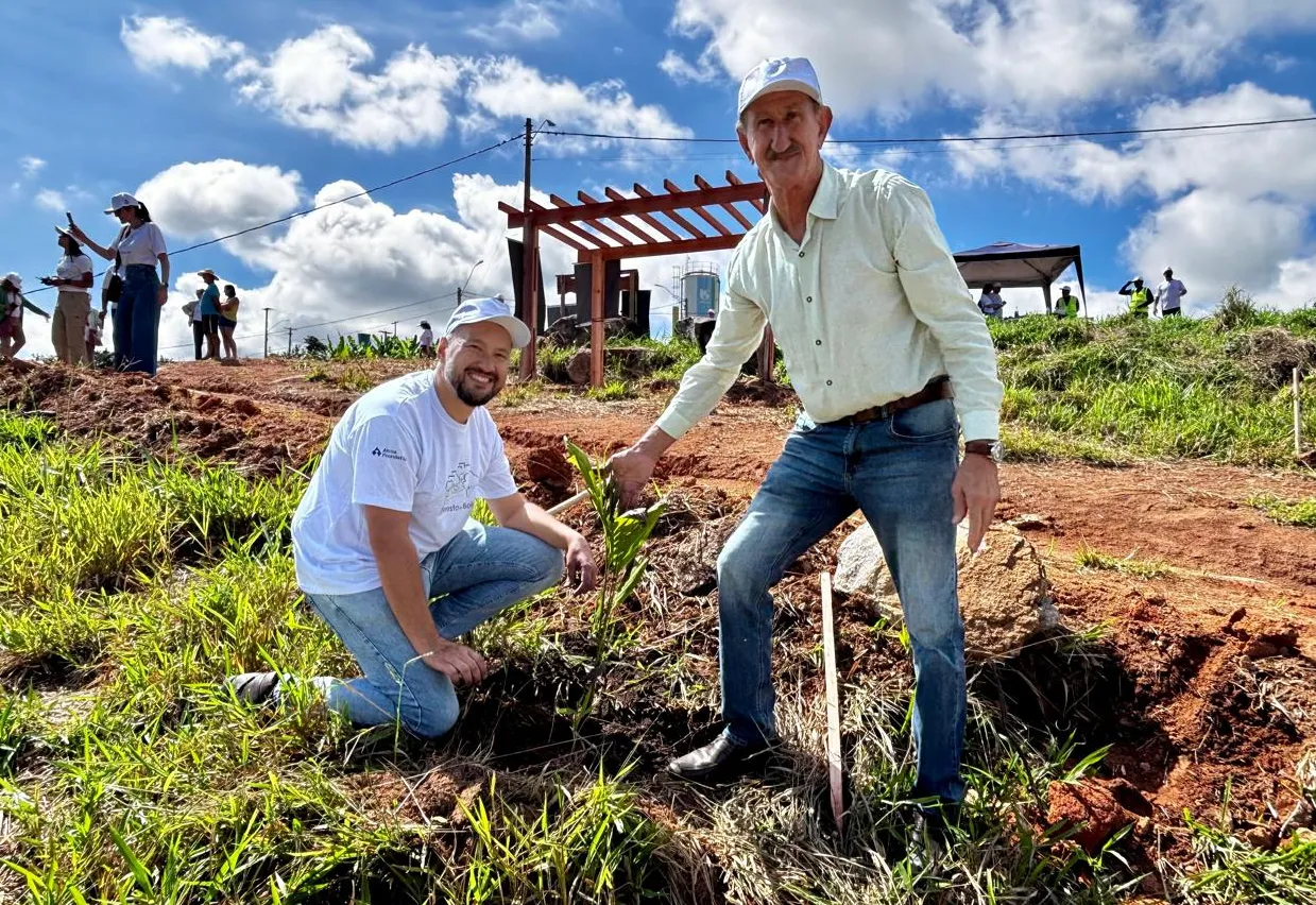 PRIMEIRA FLORESTA DE BOLSO EM DIVINOLÂNDIA 