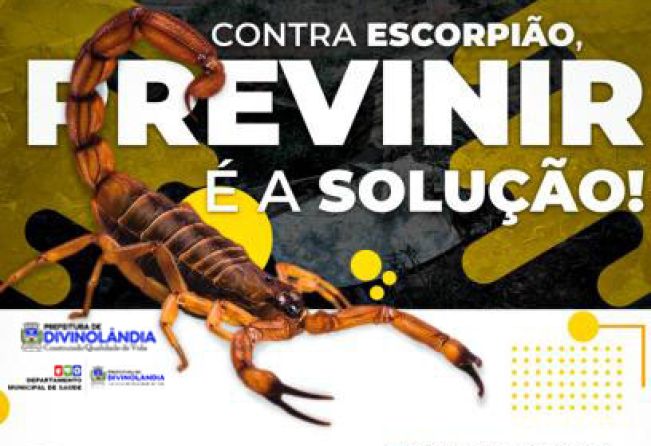 PREFEITURA MUNICIPAL FAZ ALERTA SOBRE CUIDADOS COM ESCORPIÕES